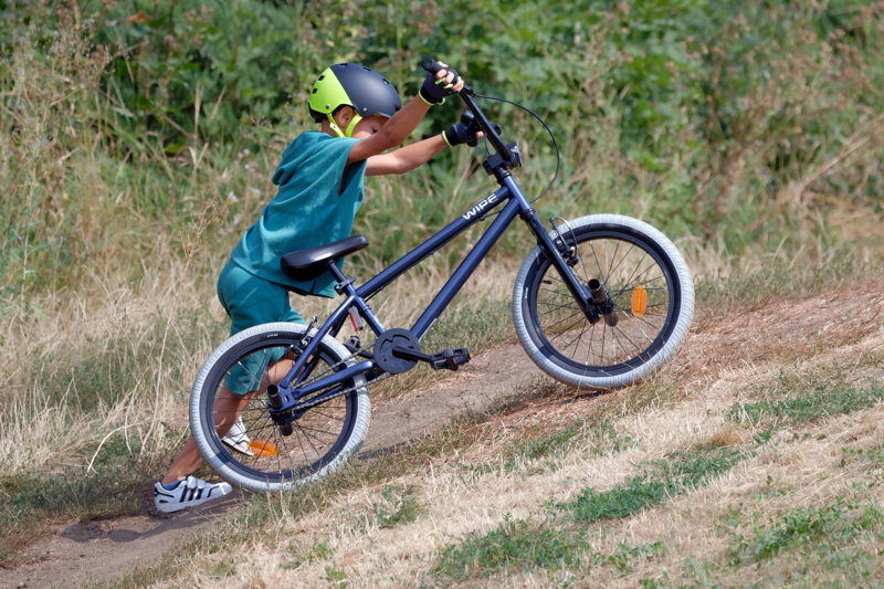 Little boy with a bicycle